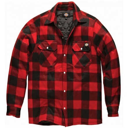 Dickies - Chemise canadienne Portland homme